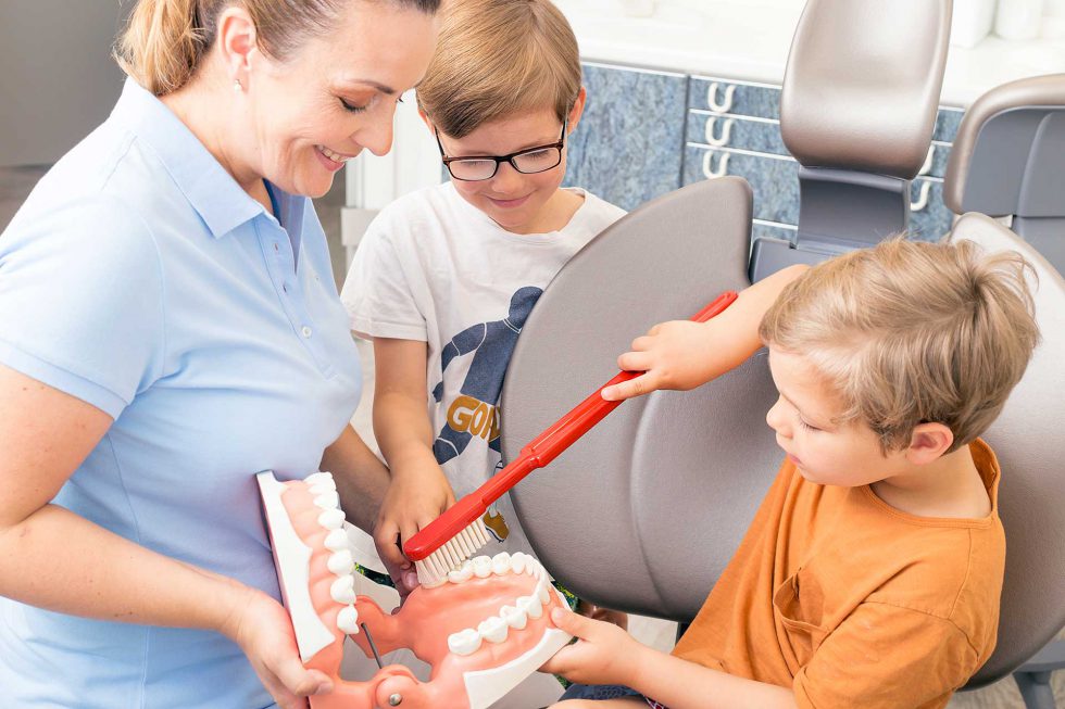 Kinder am Zahnmodell
